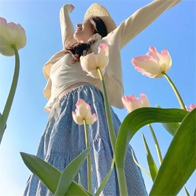 寂静岛之异兽