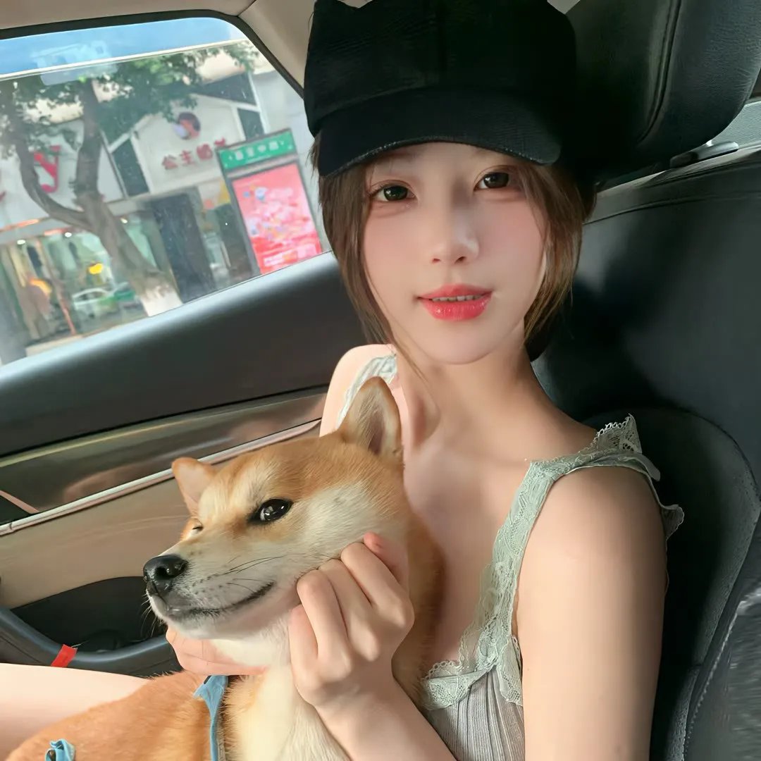海龟们